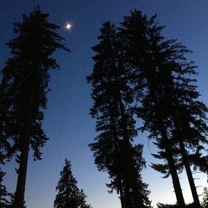 Meet your Posher, Vale